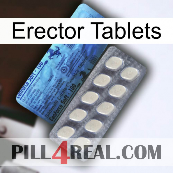 Erector Tablets 34.jpg